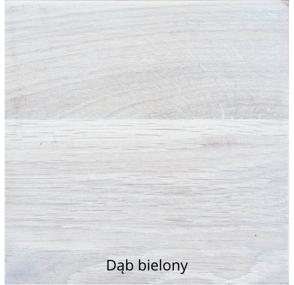 Dąb bielony.webp