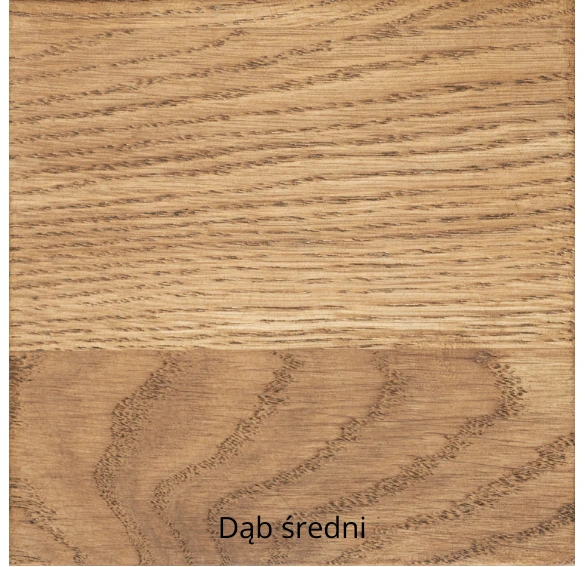 Dąb średni.webp